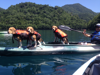 image-20130829203913.png