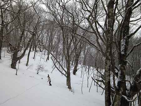 SH3B00790001.jpg