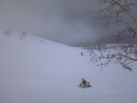 SH3B0629.jpg