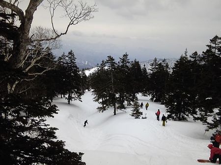 SH3B0377.jpg