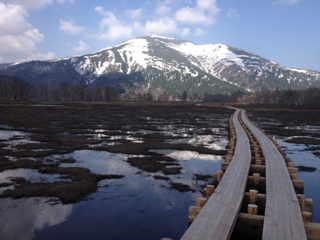 image-20120527205804.png