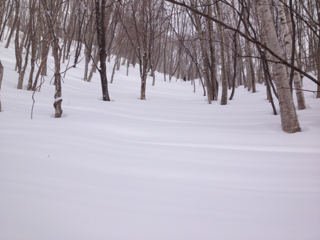 image-20130104182742.png