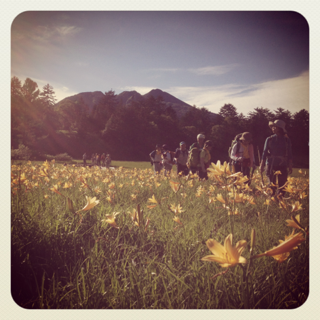 image-20130721180534.png